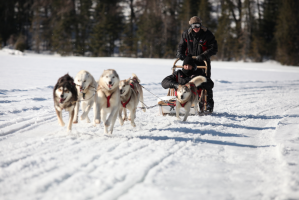 Nos prestations sur le secteur de Dijon